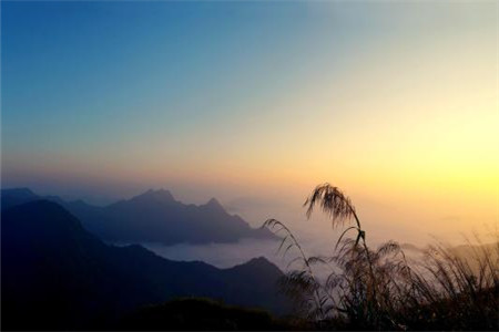 江西自考本科可以報(bào)考公務(wù)員嗎?