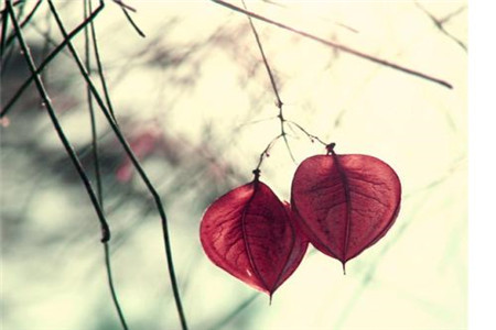 江西自考備考計劃制定參考依據是什么？