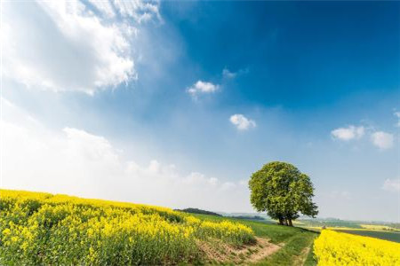 江西自考畢業后檔案怎么辦