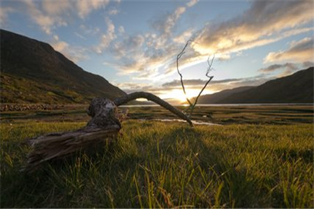 報名江西自考需要參加入學考試嗎